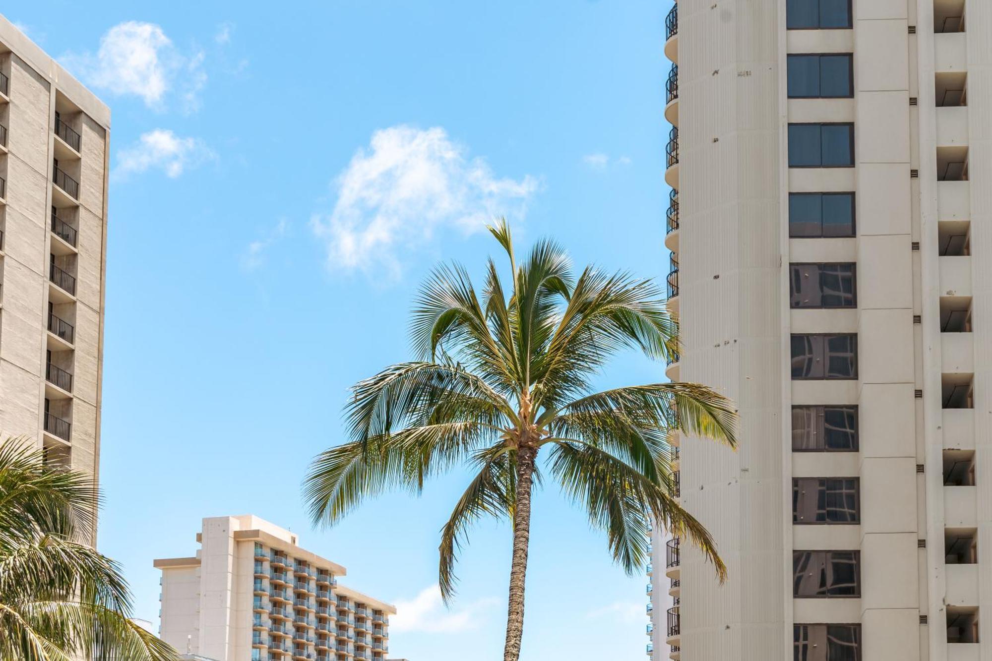 Cozy Waikiki Getaway, Stroll To Beach With Free Parking Honolulu Zewnętrze zdjęcie