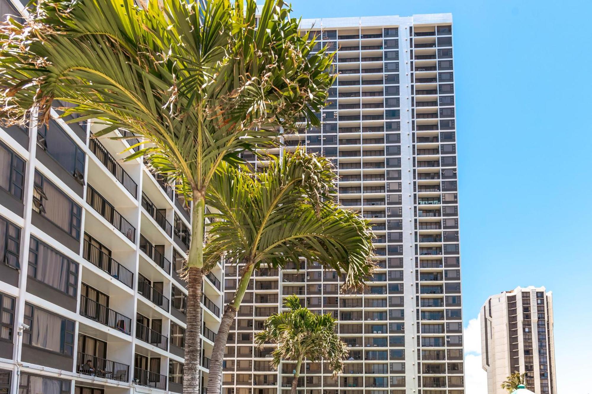 Cozy Waikiki Getaway, Stroll To Beach With Free Parking Honolulu Zewnętrze zdjęcie
