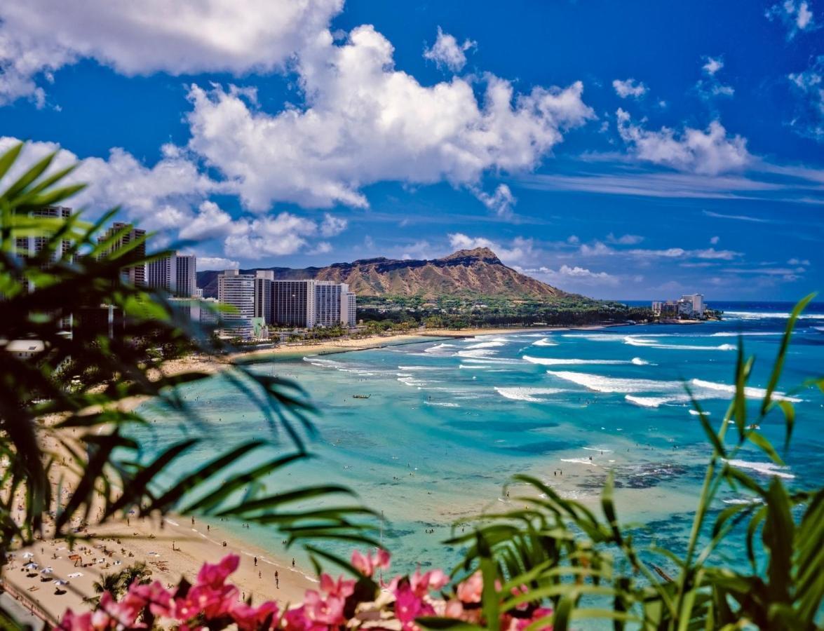 Cozy Waikiki Getaway, Stroll To Beach With Free Parking Honolulu Zewnętrze zdjęcie