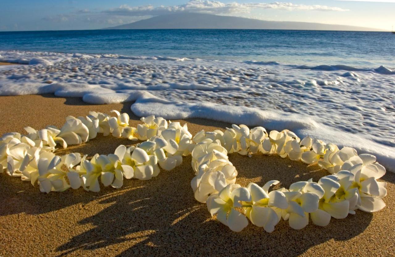 Cozy Waikiki Getaway, Stroll To Beach With Free Parking Honolulu Zewnętrze zdjęcie